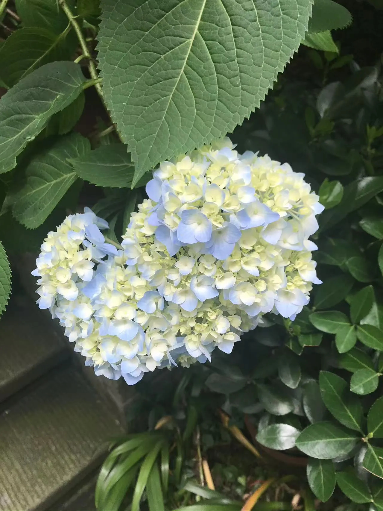 这是测试图片储存的测试文章